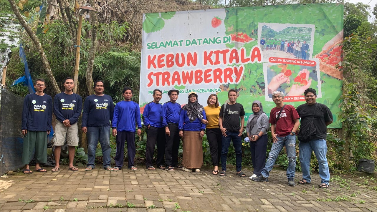 Strawberries growing on plant
